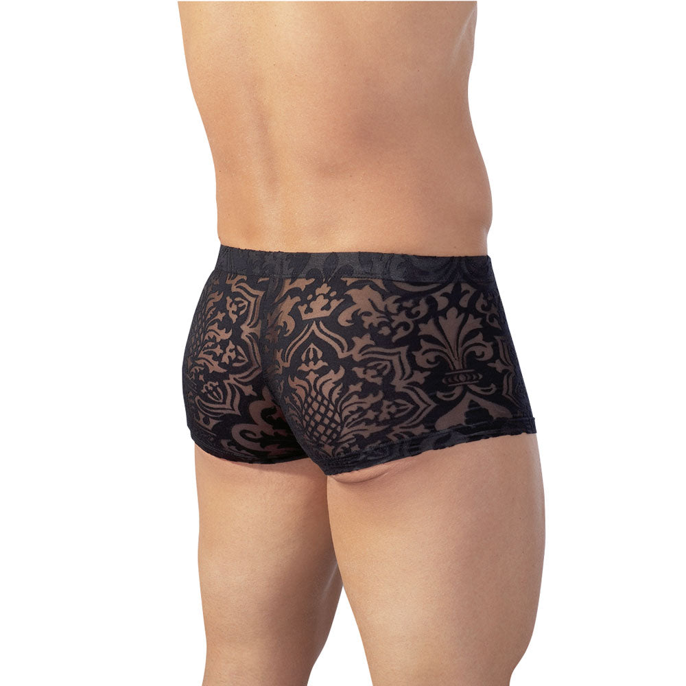 Svenjoyment Black Transparent Devor Men's Brief