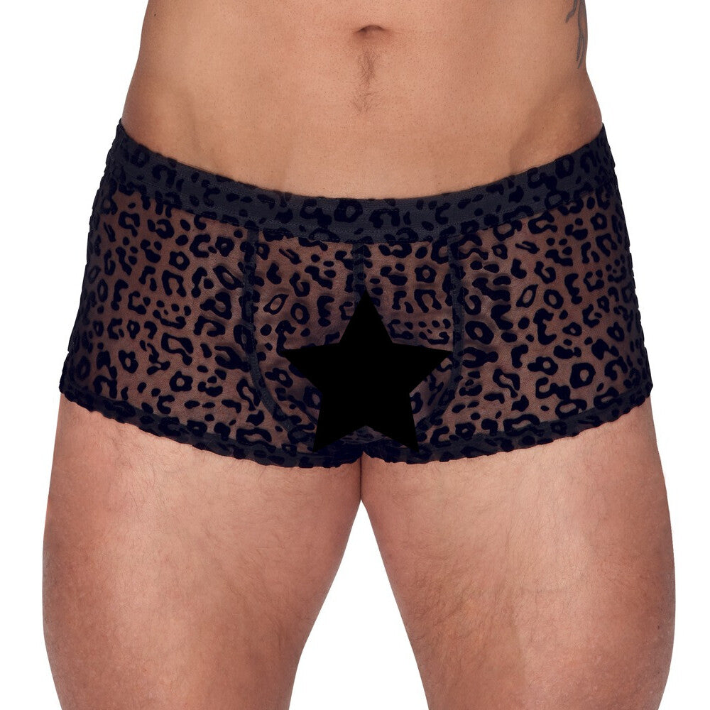 Noir Black Sheer Leopard Print Tights with Stretch Waistband