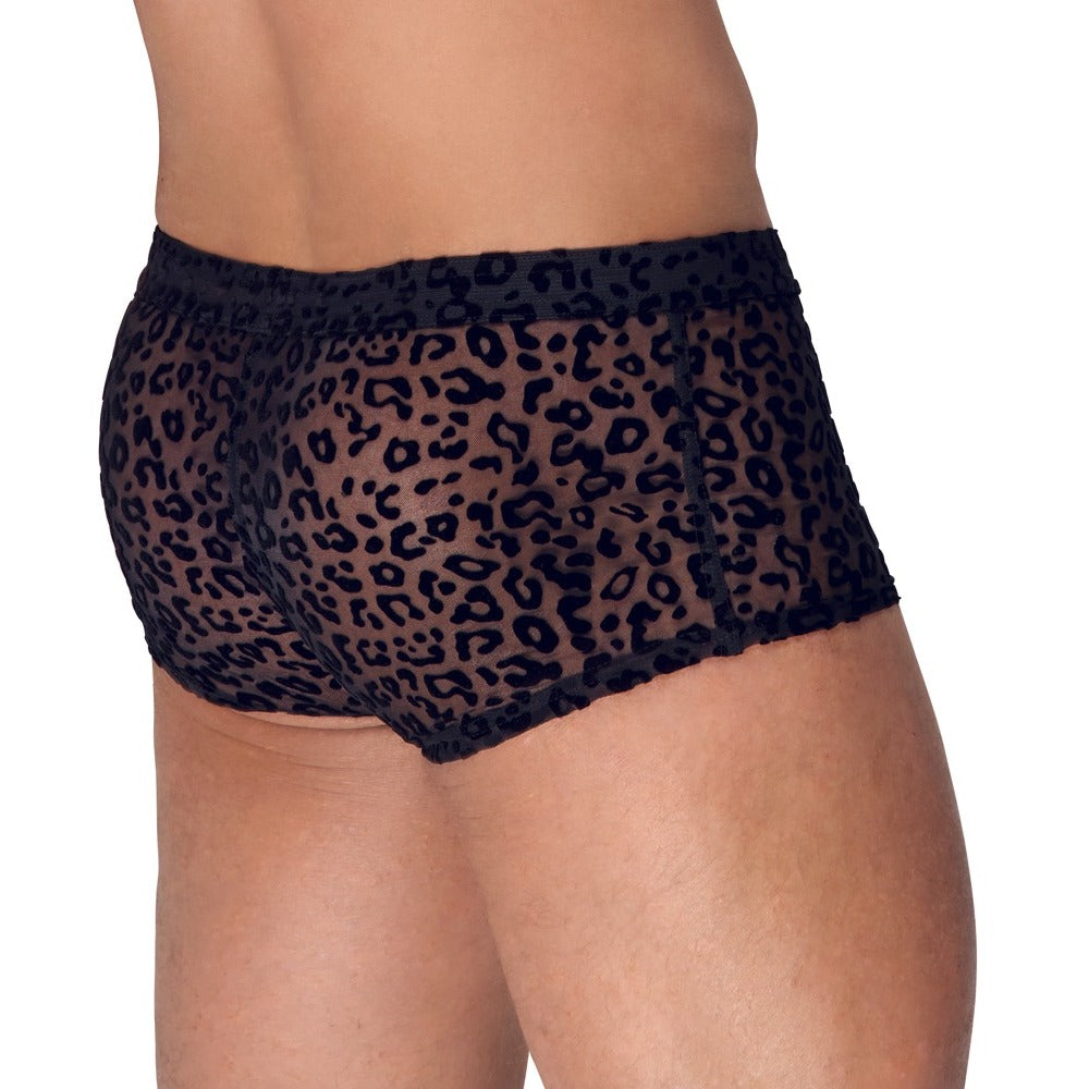 Noir Black Sheer Leopard Print Tights with Stretch Waistband