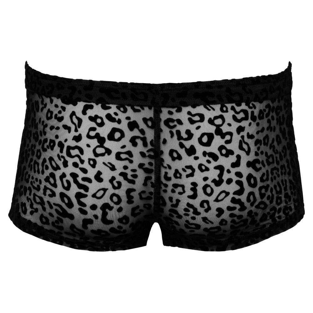 Noir Black Sheer Leopard Print Tights with Stretch Waistband
