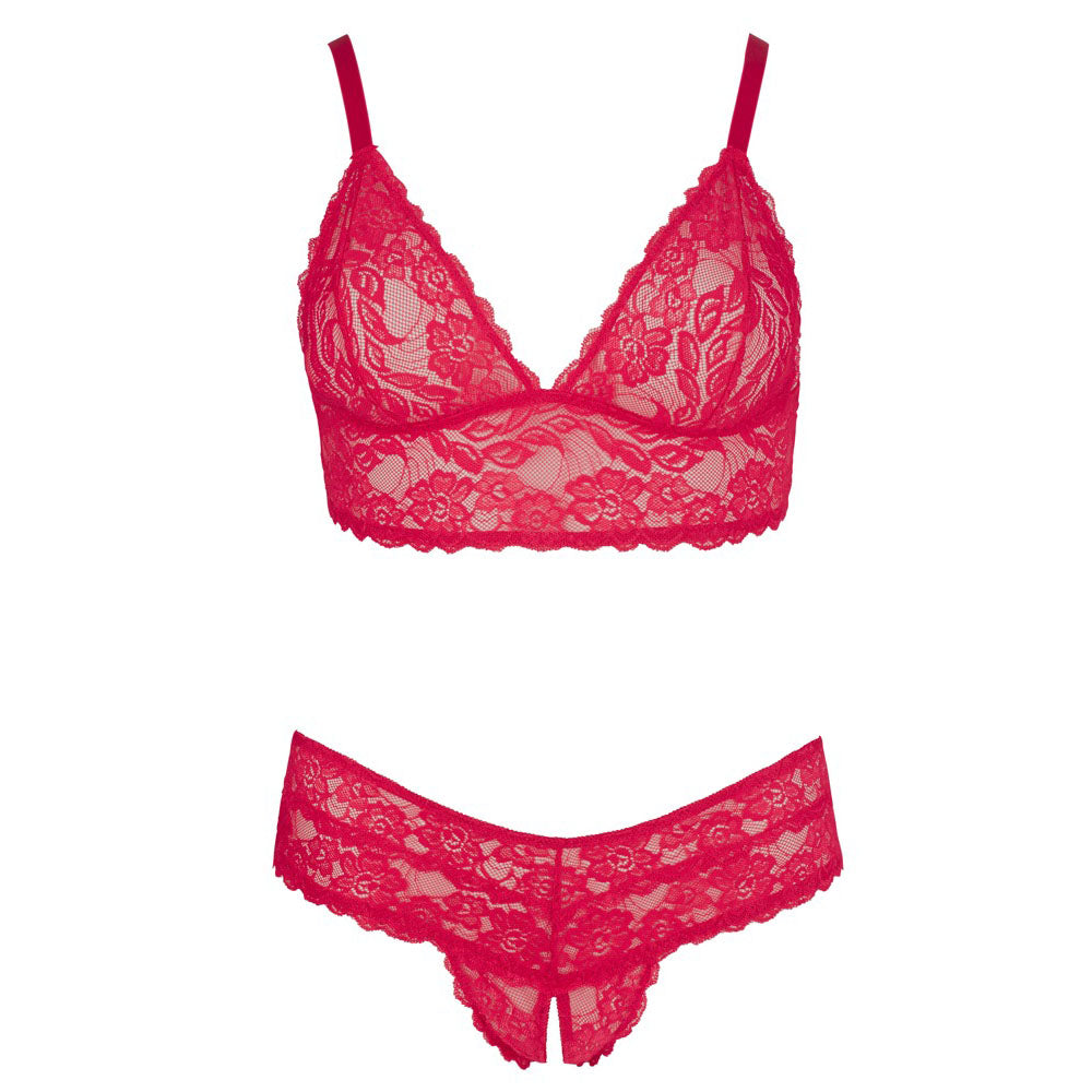Cottelli Red Lace Plus Size Bra and Crotchless Briefs Set