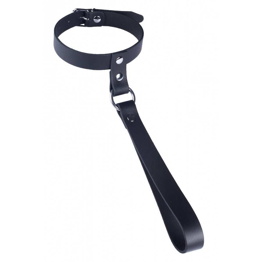 Genuine Leather Red Play Collar with Short Leash