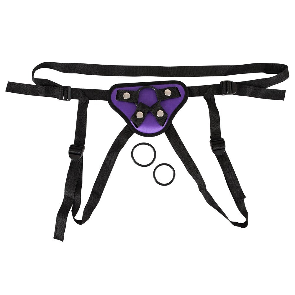Adventurous Souls Purple and Black Adjustable Harness
