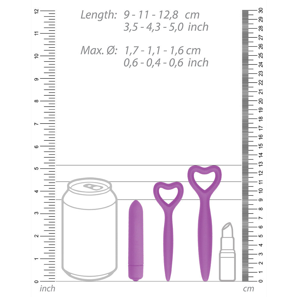 Ouch Purple Silicone Vaginal Dilator Set with Bullet