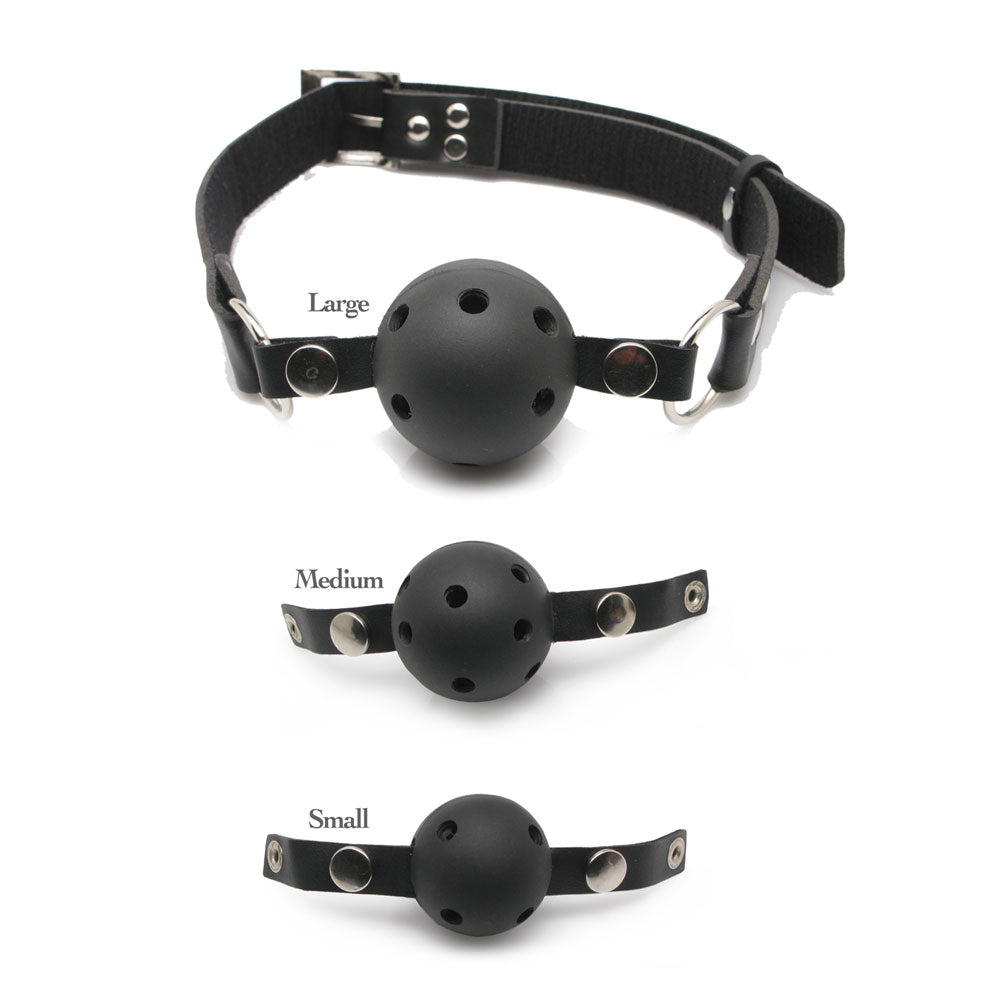 Fetish Fantasy Series Black Leather Ball Gag Training System