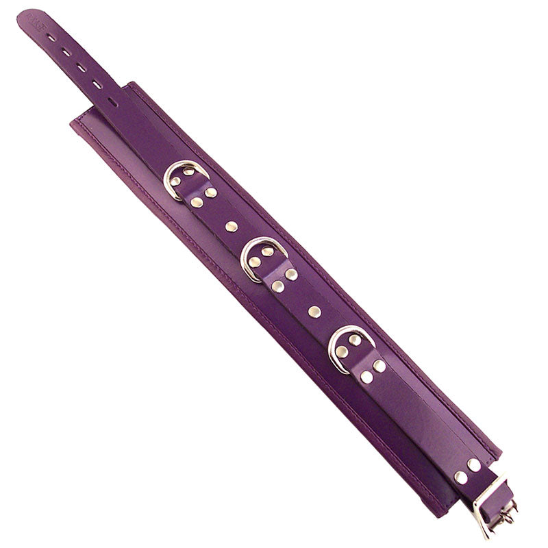 Rouge Garments Purple Padded Collar with Triple D Rings