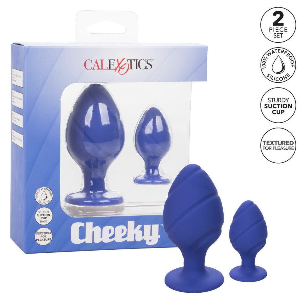 Cheeky Purple Silicone Butt Plug Duo with Suction Cup Base