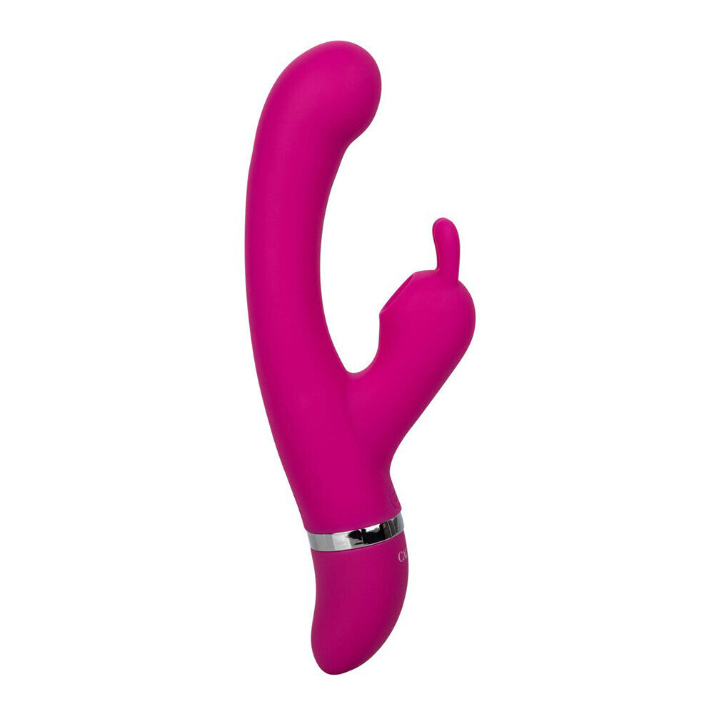 Foreplay Frenzy Purple Bunny Kisser Vibrator Dual Motors