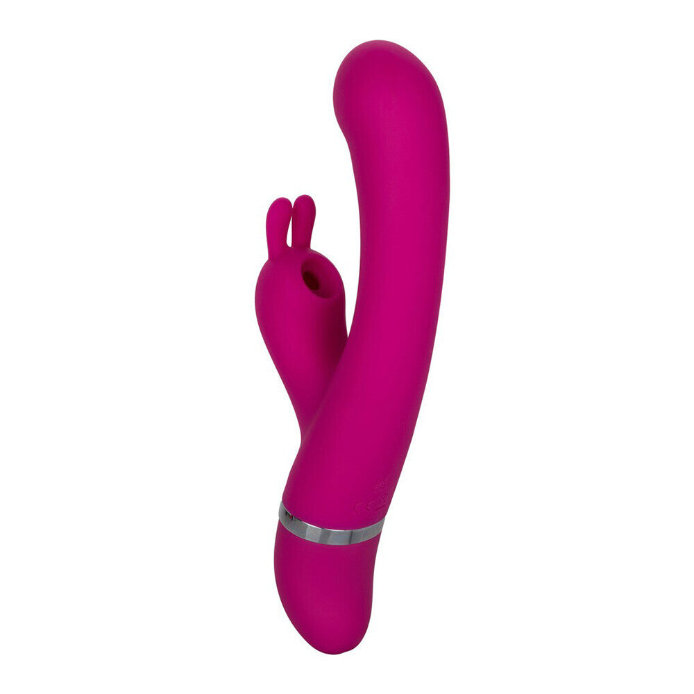 Foreplay Frenzy Purple Bunny Kisser Vibrator Dual Motors