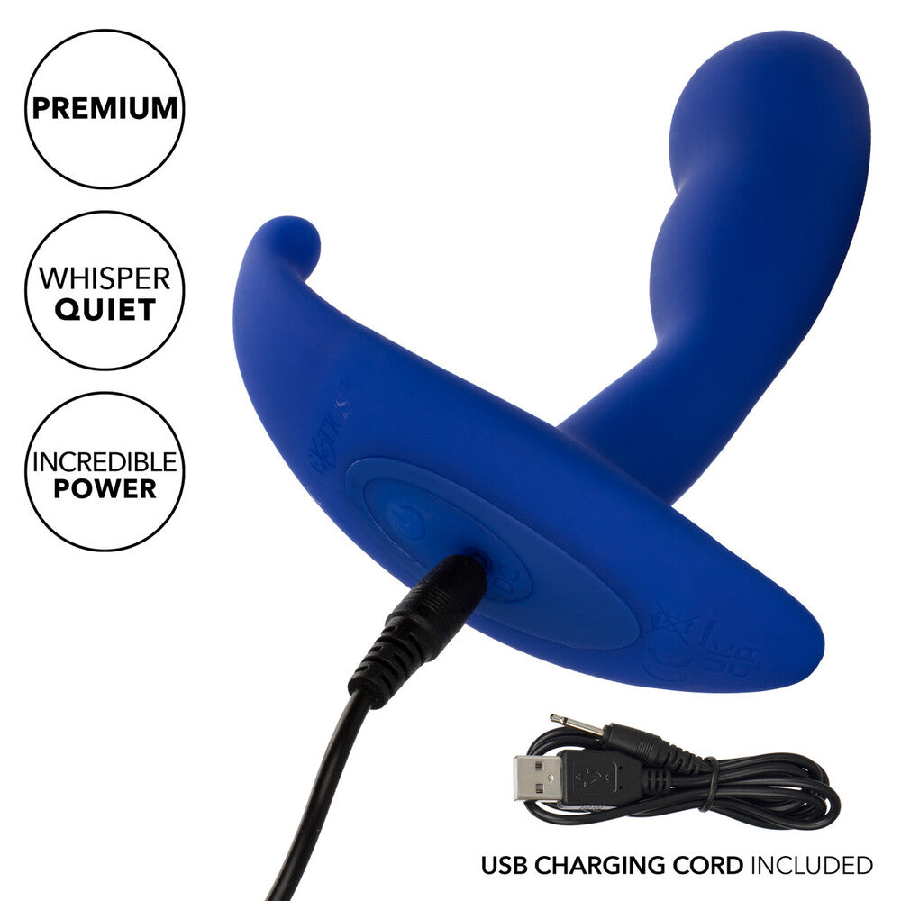 California Exotic Admiral Advanced Curved Probe Features