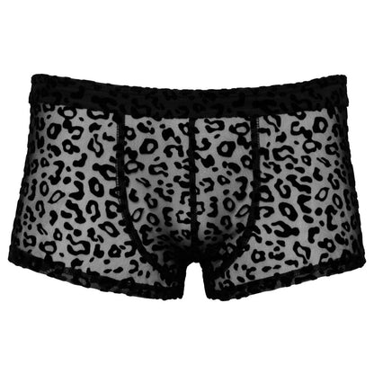 Noir Black Sheer Leopard Print Tights with Stretch Waistband