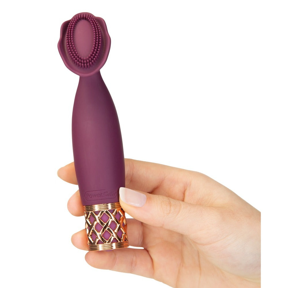 Pillow Talk Purple Passion Mini Massager