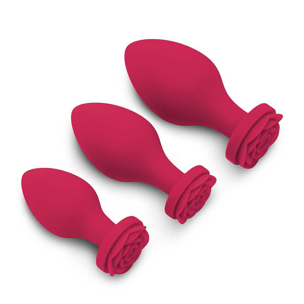 Secret Kisses Pink Anal Plug Set with Hypoallergenic Silicone