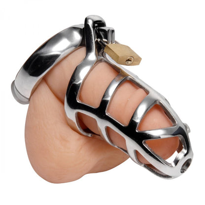 Steel Chastity Cock Cage Silver Adjustable Fit