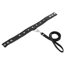 SportSheets Black Leather Studded Collar and Leash Set